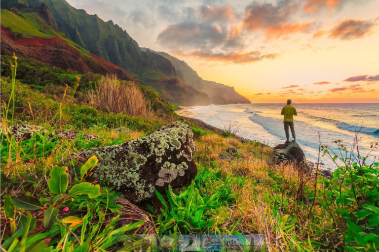 Visitors to Hawaii Can Earn a Free Night At a Hotel By Doing Volunteer Work