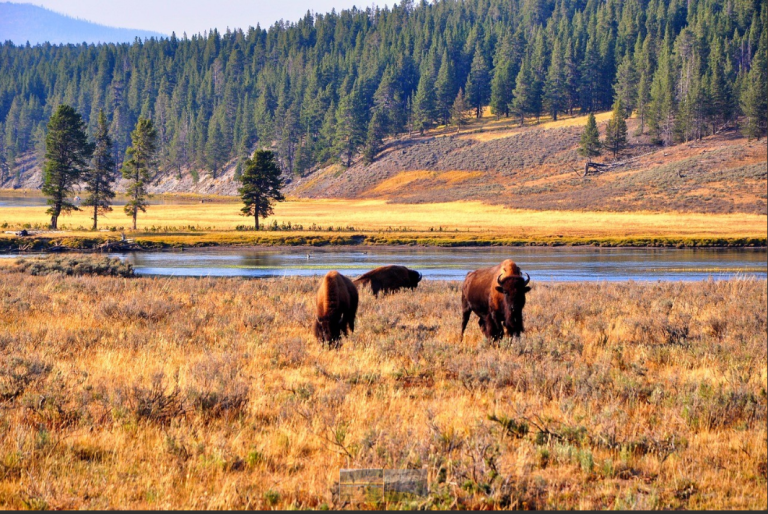 Reservations Are No Longer Required to Visit These Popular U.S. National Parks.