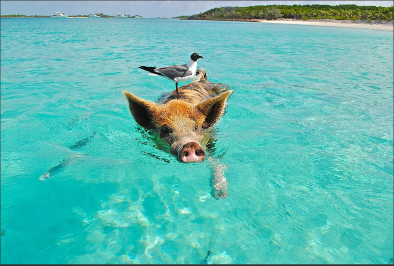 U.S. State Department Issues Security Advisory For Popular Beach Destination: Bahamas, Jamaica