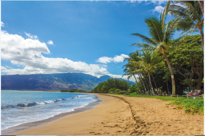 Hawaii Beach