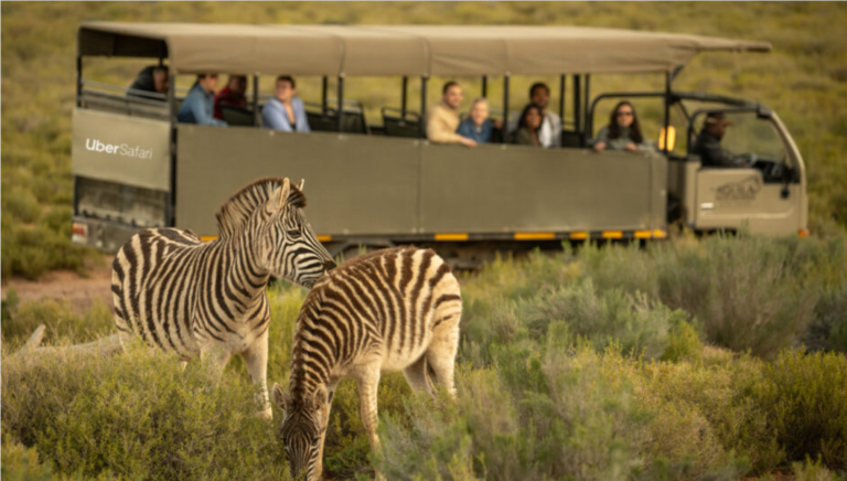 Uber Launches a New Safari Experience in South Africa