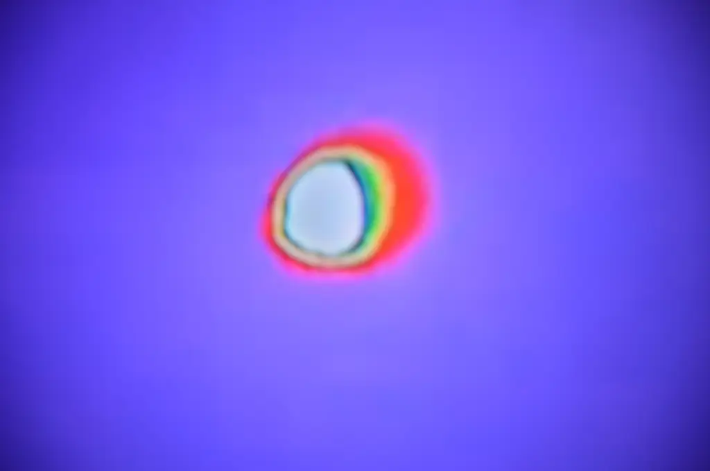 Hurricane melissa eye over jamaica co - media corp usa Hurricane eye