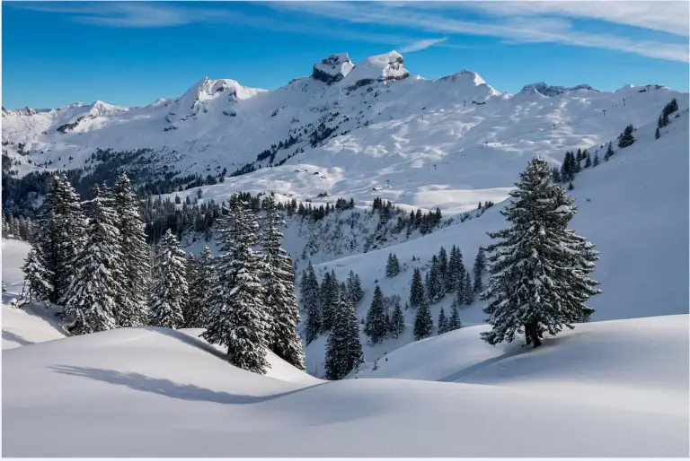 These are the Top 5 Winter Destinations for 2025–26.