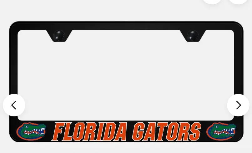 FL License Plate