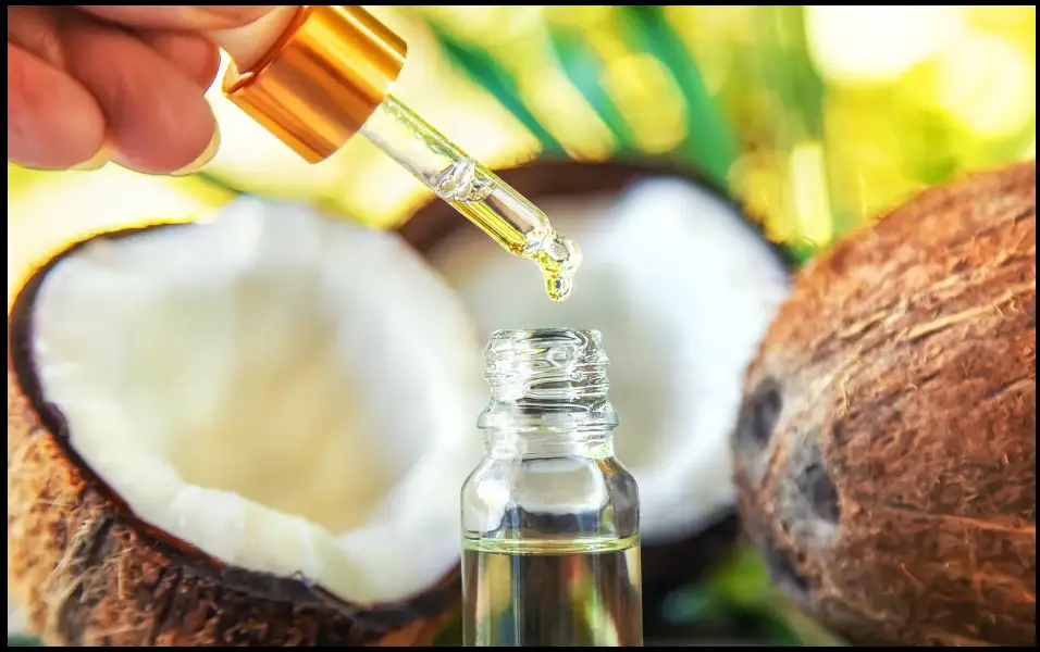 Coconuts one open the other unopened