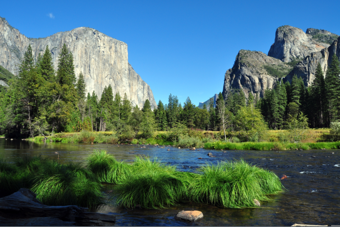 Yosemite National Park
