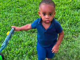 Kohen Wiley