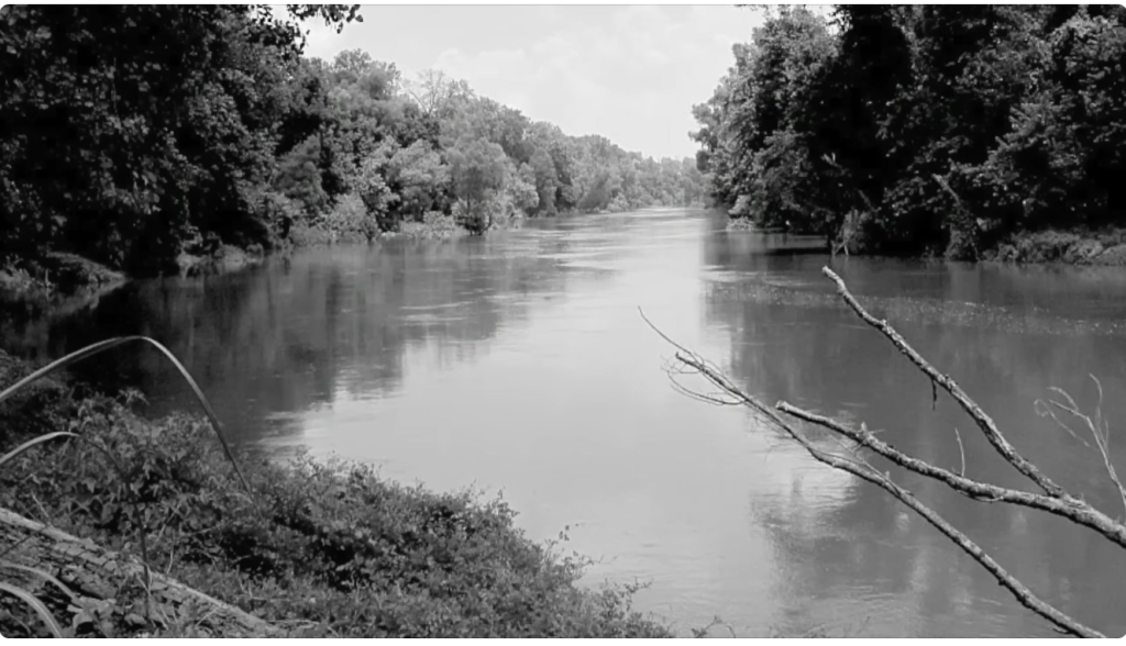 Black-and-white Photo of a Wide River Flanked by Dense Trees on Both Banks, Viewed from the Riverbank with a Leafless Branch in the Foreground. Black-and-white Photo of a Wide River Flanked by Dense Trees on Both Banks, Viewed from the Riverbank with a Leafless Branch in the Foreground. Black-and-white Photo of a Wide River Flanked by Dense Trees on Both Banks, Viewed from the Riverbank with a Leafless Branch in the Foreground. Black-and-white Photo of a Wide River Flanked by Dense Trees on Both Banks, Viewed from the Riverbank with a Leafless Branch in the Foreground.